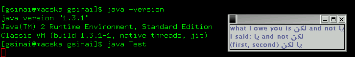 images/bidi-java-1.3.1.gif
